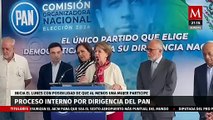 El proceso interno por la dirigencia del PAN iniciará el 19 de agosto