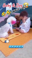 Kid doctor medicate dog Hilarious