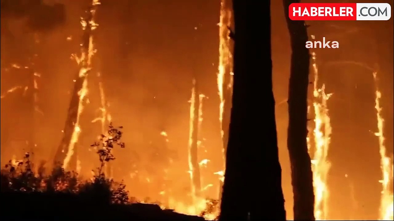 Aydın Bozdoğan'da Orman Yangını: 550 Kişi Tahliye Edildi