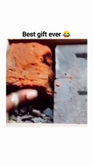 See best gift ever #funny video #shorts #trending