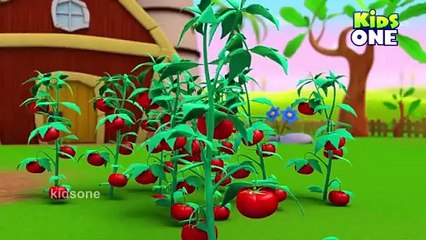 Classic Cartoon Compilation _ WB Kids