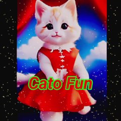 Cat dance  | funny cat | cat fun