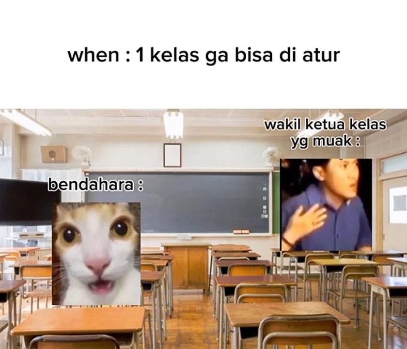 Meme