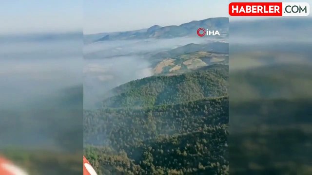 Manisa'da Gördes ilçesinde çıkan orman yangınları devam ediyor