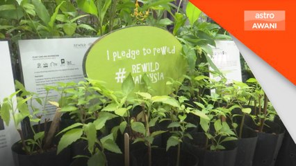 Kuala Lumpur perlu lebih banyak jenis pokok - Fahmi