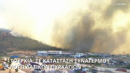 Τουρκία: Σε κατάσταση συναγερμού λόγω δασικών πυρκαγιών