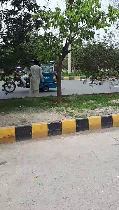 Donkey race in Pakistan