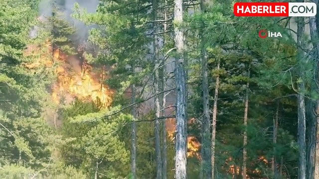 Karabük'teki orman yangını rüzgarın etkisiyle yayılıyor