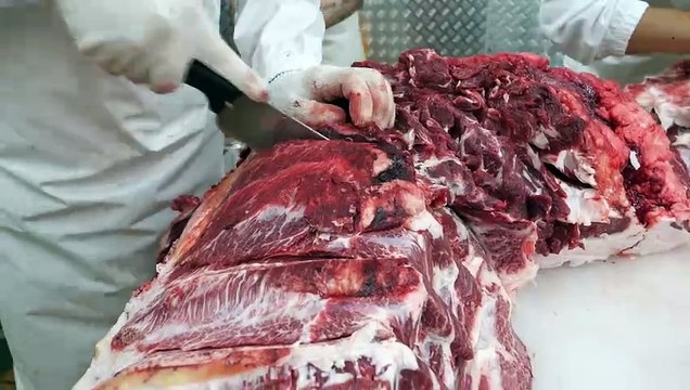 Food Kingdom - Cost-effective Korean beef that can be grilled right at a meat restaurant at this price in Gangnam, Seoul ⧸ Korea..