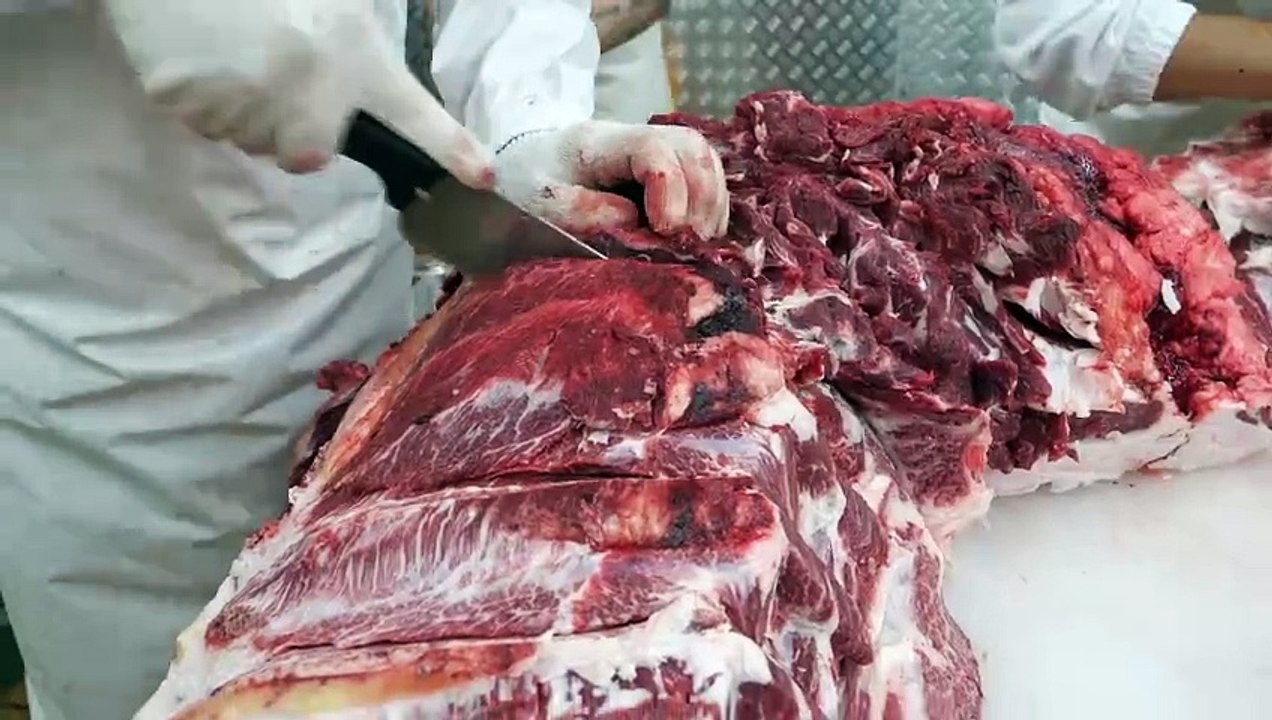 Food Kingdom - Cost-effective Korean beef that can be grilled right at a meat restaurant at this price in Gangnam, Seoul ⧸ Korea..