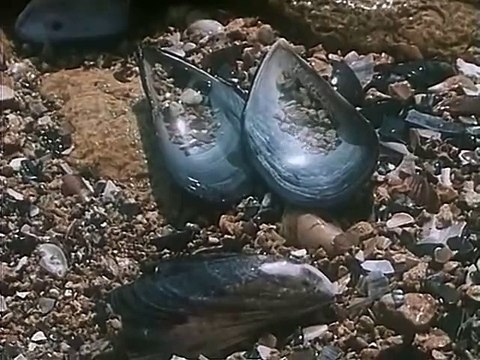 Волны Черного моря 1 серия.