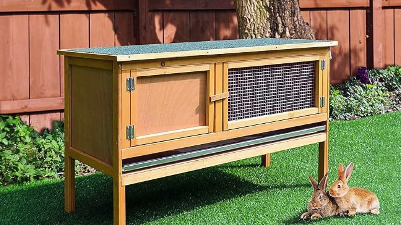 Expert Picks: Top 10 Indoor and Outdoor Rabbit Cages for 2024  #rabbitsofinstagram #smallpets