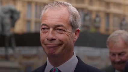 Farage revealed as highest-earning MP, receiving £98,000 a month from TV work alone