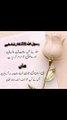 اپنی زبانوں کو اپنی ماؤں کے آگے مت کھولو #trending#viral#shorts#islamic#follow#foryou#dailymotion#share