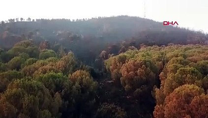 İzmir'deki yangın felaketinde gün ağardı... Acı tablo ortaya çıktı!
