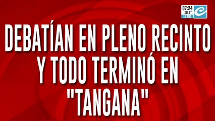 Bochornoso: debate en el senado turco termina en una batalla campal