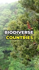 Top 10 facts about Costa Rica!