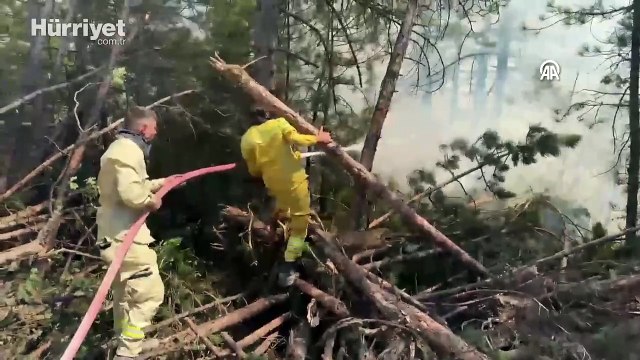 Karabük'te ormanlık alanda çıkan yangına müdahale ediliyor