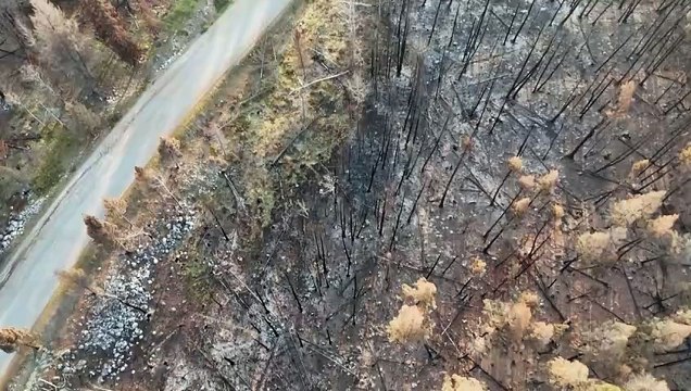 لقطات جوية لبلدة جاسبر التي دمرتها حرائق الغابات في غرب كندا