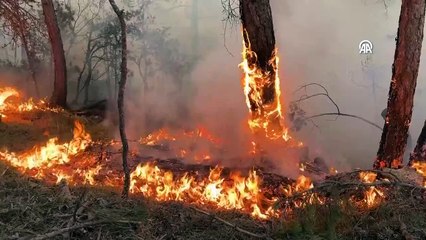 Video Haber | Yangın yönetim uçağı 'OTAĞ' sahada!