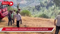 Aydın'daki orman yangınında yanan alanlar dronla görüntülendi