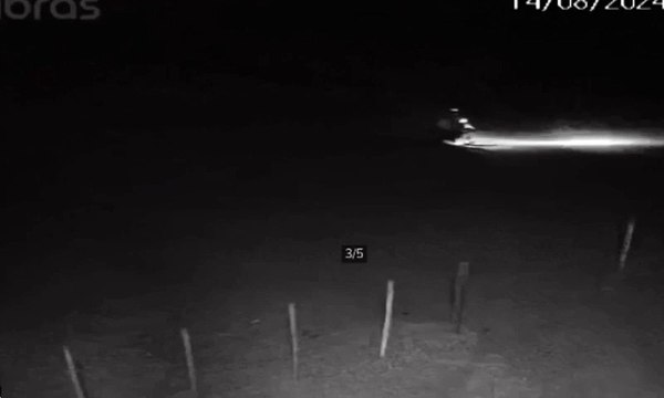 VÍDEO: Suspeito é flagrado levando caixa de isopor onde estaria corpo de menina achada morta com sinais de estupro