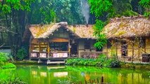 Relaxing music therapy  with stunning scenery - Chữa lành cảm xúc với phong cảnh cổ trang yên bình