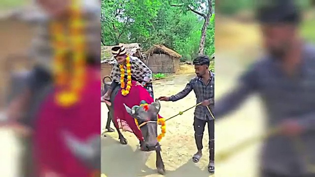Most Funny Weddings On Internet  | funny wedding moments | funny marriages videos