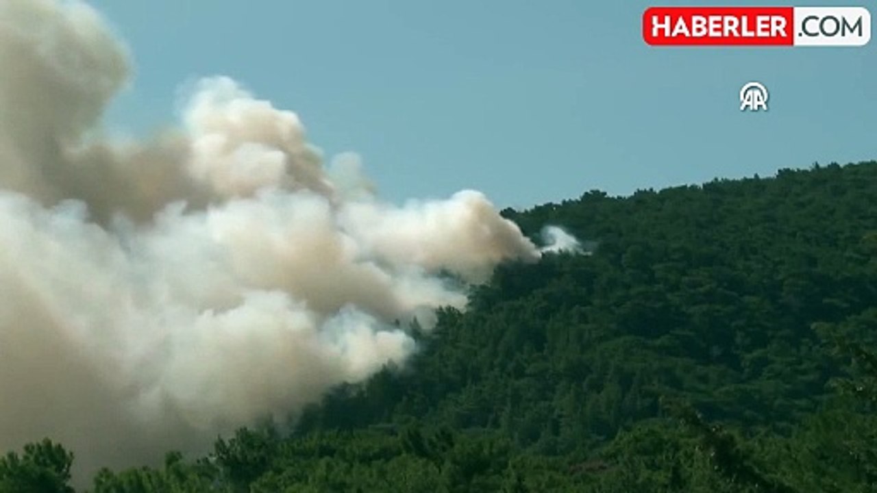 Orman yangınlarıyla ilgili gözaltına alınan 11 kişiden 2'si tutuklanarak cezaevine gönderildi