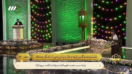 Beautiful Tilawat 2024 || مشاركة_القارئ_البريطاني || Islamic Hub