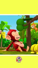 Funny Baby Monkey Eating A Banana Song 2024