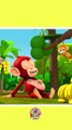Funny Baby Monkey Eating A Banana Song 2024