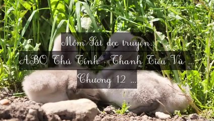 C9-C15 ABO Thú Tính - Thanh Tiểu Vũ