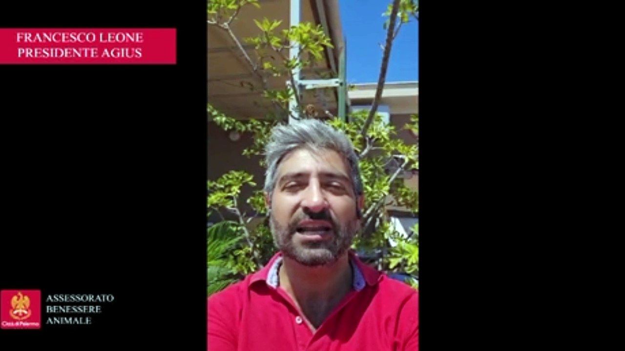 Altre adesioni alla campagna del Comune di Palermo contro l'abbandono degli animali