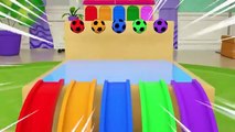 Bingo Song - School bus, Fire truck, Name the colors of the trucks-Baby Nursery Rhymes & Kids Songs
