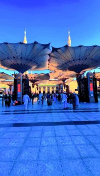 رسول اللہ ﷺ کو دیکھا کہ آپ میرے اس وضو جیسا وضو فرمایا کرتے تھے