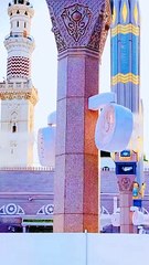 میں نے رسول اللہ ﷺ سے ( کتے کے شکار کے متعلق ) دریافت کیا ۔