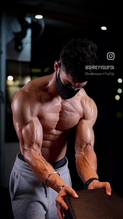Body 