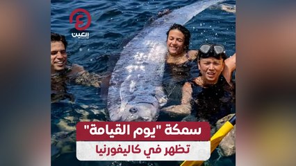 سمكة "يوم القيامة" تظهر في كاليفورنيا