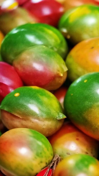 Funny Mango Turn Into Parrots  #funnyvideos #umarvlogs337