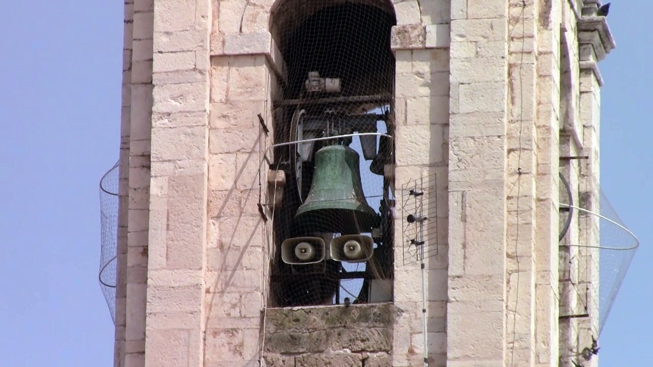 Campane di Molfetta | San Domenico