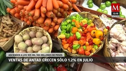 Download Video: La Antad informó que las ventas en tiendas de autoservicio tuvieron un incremento del 1.2% en julio