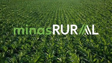 Confira a íntegra do programa Minas Rural deste sábado (17)!