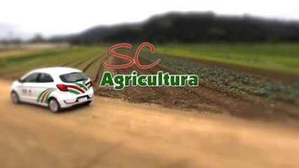 Confira a íntegra do programa SC Agricultura deste sábado (17)!
