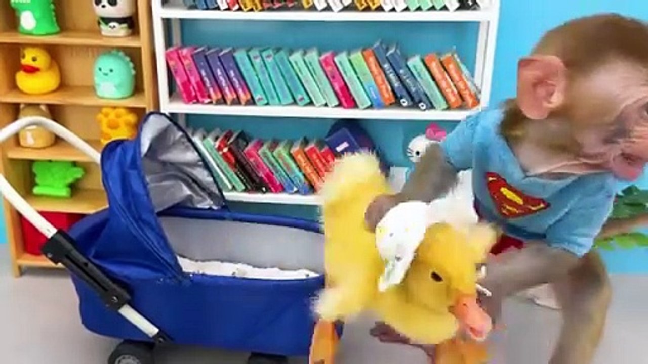 Monkey Baby Bon Bon Goes Fishing and Swims with Ducklings in the Pool