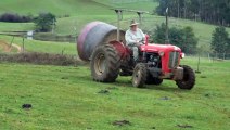 Dry conditions trigger extreme measures as Tasmanian farmers struggle to secure feed