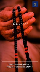 Shoq se chalty he #makkhamadina #Muhammad #FreePalestine #shorts #shortsvideos