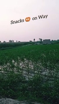 Pind da mahool | village life | dehat ke Zindagi | old culture of Punjab