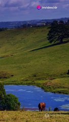 Lake District (England)