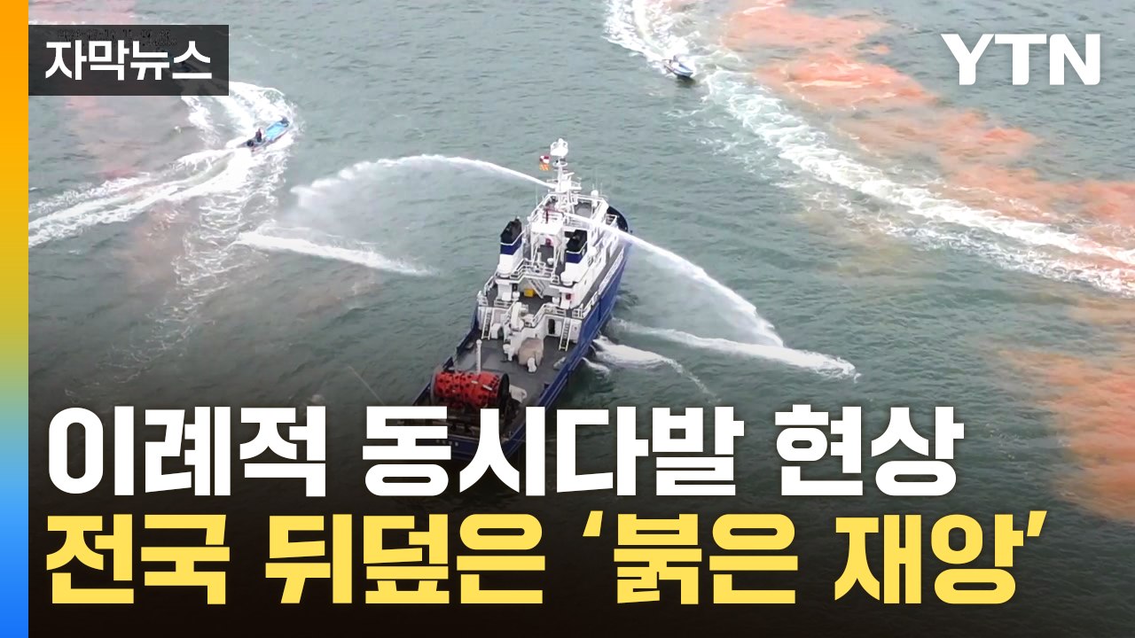 [자막뉴스] 韓, 전례 없는 현상...전국 바다서 동시다발적 재앙 / YTN